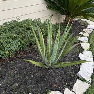 Meet your Posher, Larry